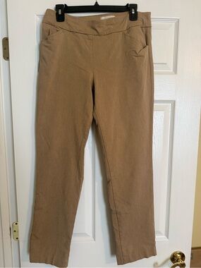 Talbots Straight-Leg Pants in Camel/Tan
